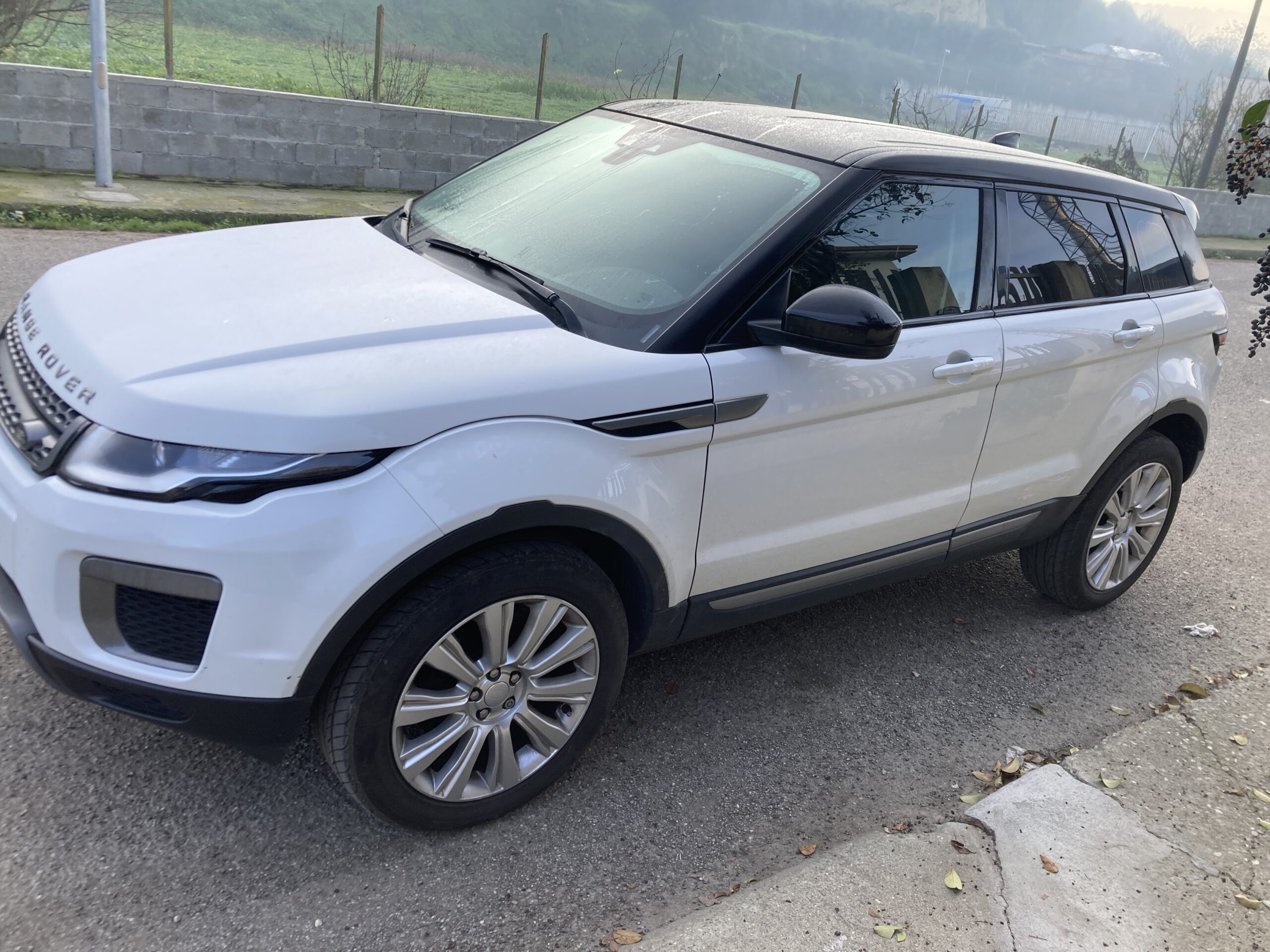 
								RANGE ROVER EVOQUE pieno									